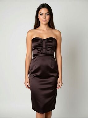 MStrapless Satin Sheath Dress in Deep Brown